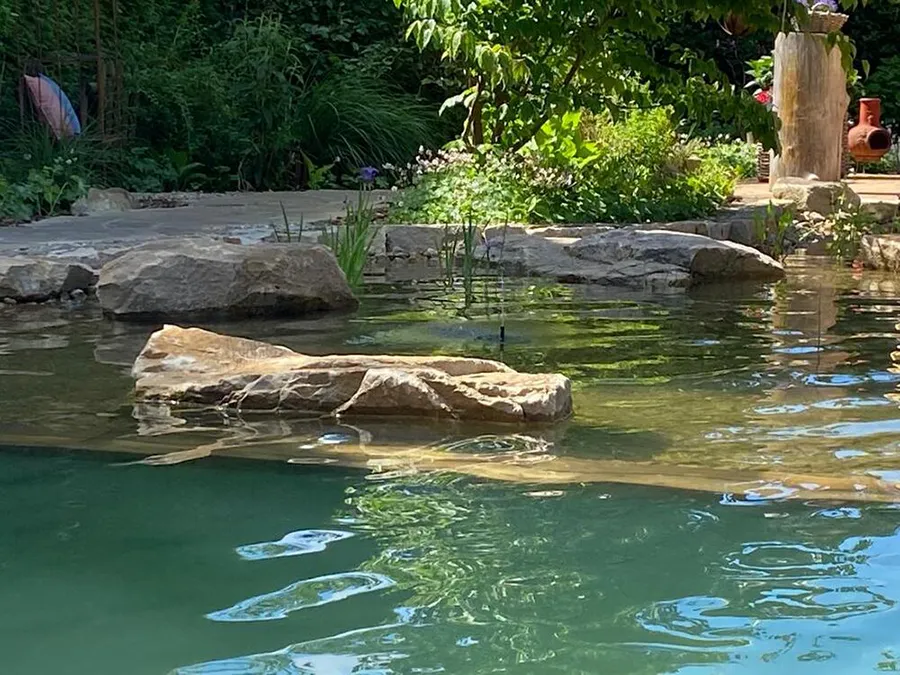 Schwimmteich im Garten - Thomas Echterhoff Garten- und Landschaftsbau