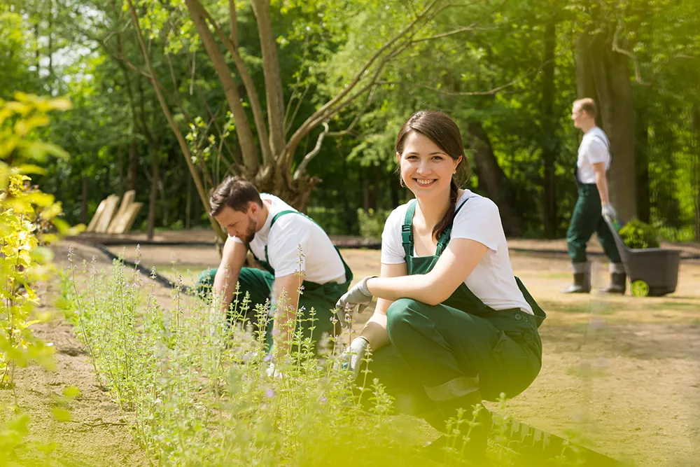 Ausbildung als Gärtner - Thomas Echterhoff Garten- und Landschaftsbau