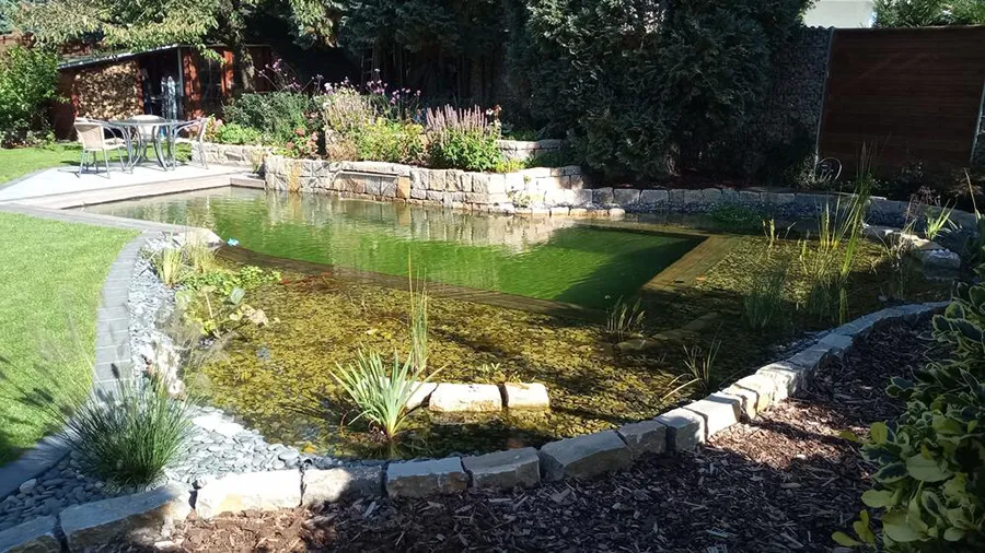 Garten mit einem Schwimmteich - Thomas Echterhoff Garten- und Landschaftsbau